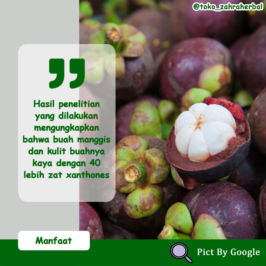 Buah manggis khasiat Manggis khasiat