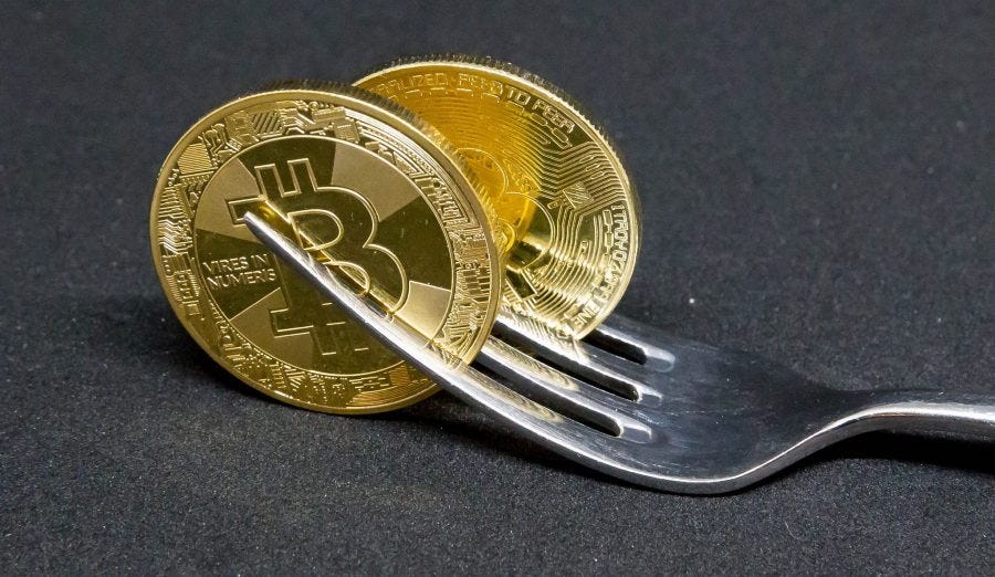 what to do when a crypto currency forks