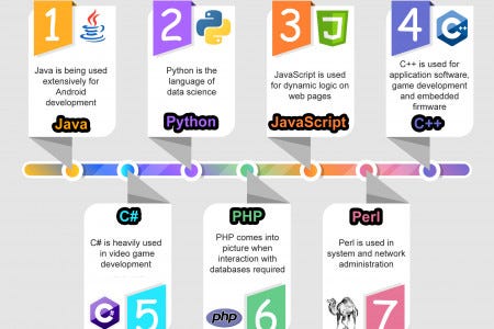 Best Programming Language For A Project | by ANSHUL MITTAL | Medium