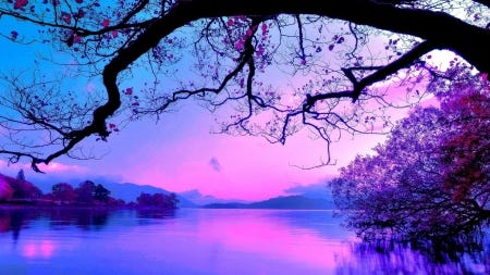 purples and blues of lake with branch over head