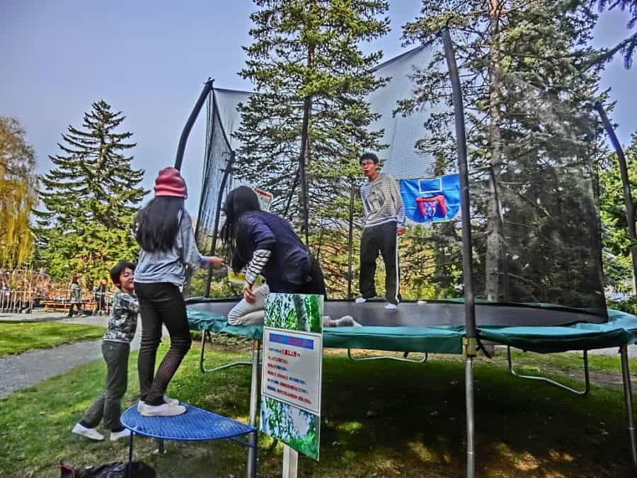 10 Best 15 Ft Trampoline For Sale On Amazon In 2020 Medium
