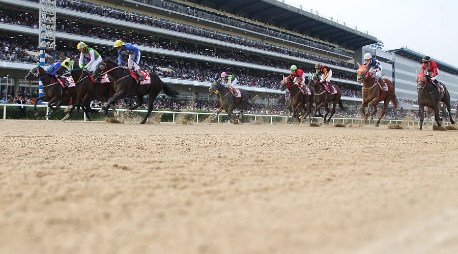 那裡除了k Pop原來賽馬也超ok 韓國純種馬 賽馬 賭馬及育馬都融入了自己特色的韓國賽馬業 一股掘地而起的新興勢力 By Marty S Medium