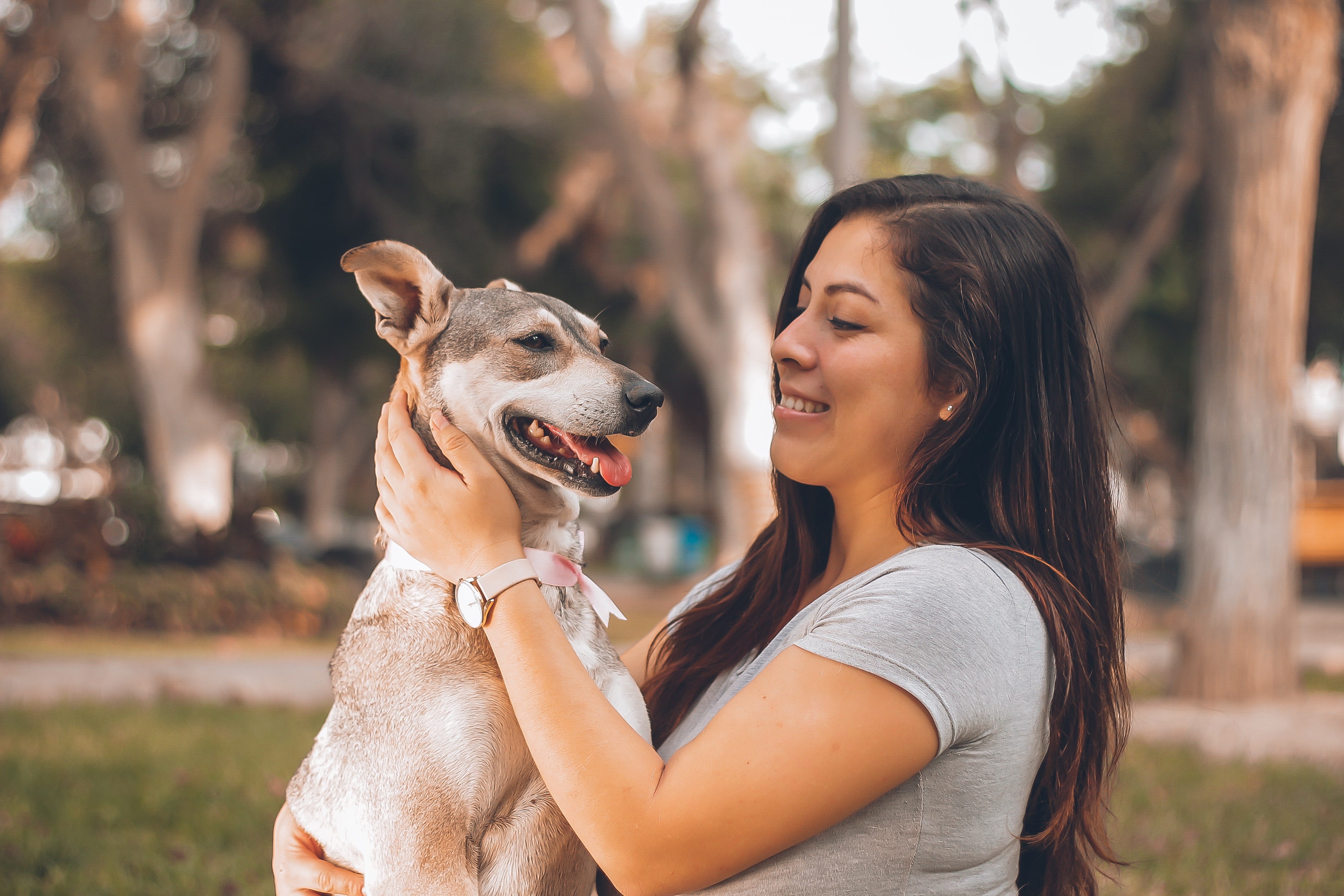 Having A Pet Changed My Life For The Better | by Black Ruby | Black Ruby  Magazine | Medium