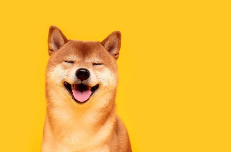 Sending Dogecoin to “Me.Dog”. Getting started with the Ethereum Name… | by  Gavin Singh | Medium