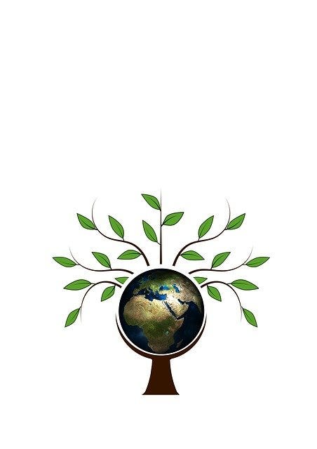 A globe is situated in the middle of a tree with the leaves and branches coming out the top and a trunk from the bottom.