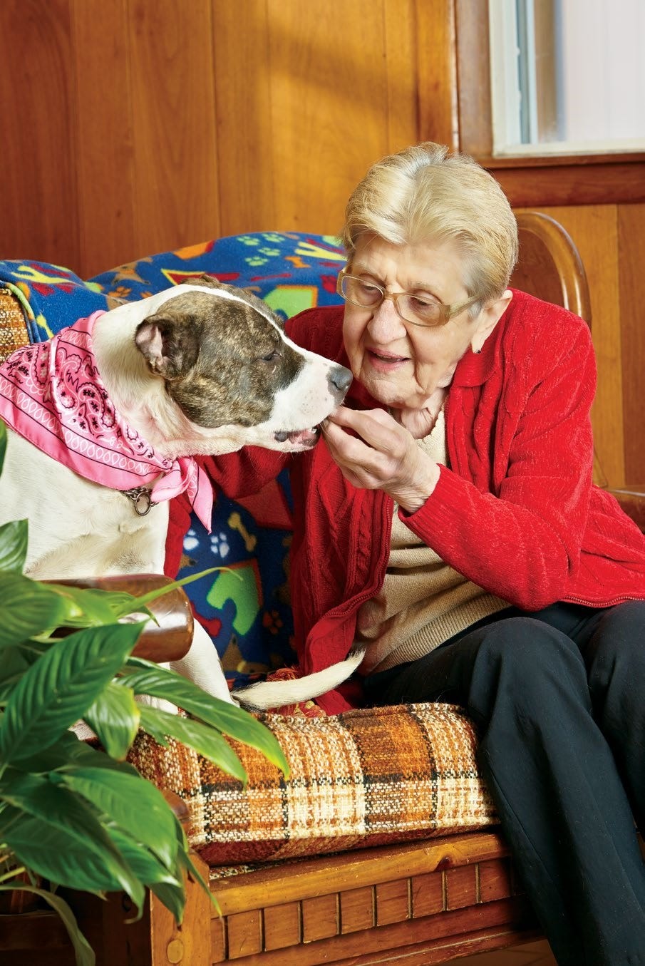 All About Animals Flint Bingerhz All about animals flint bingerhz