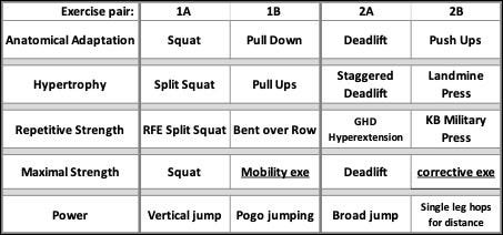 15 Minute Anatomical adaptation workouts for at Office