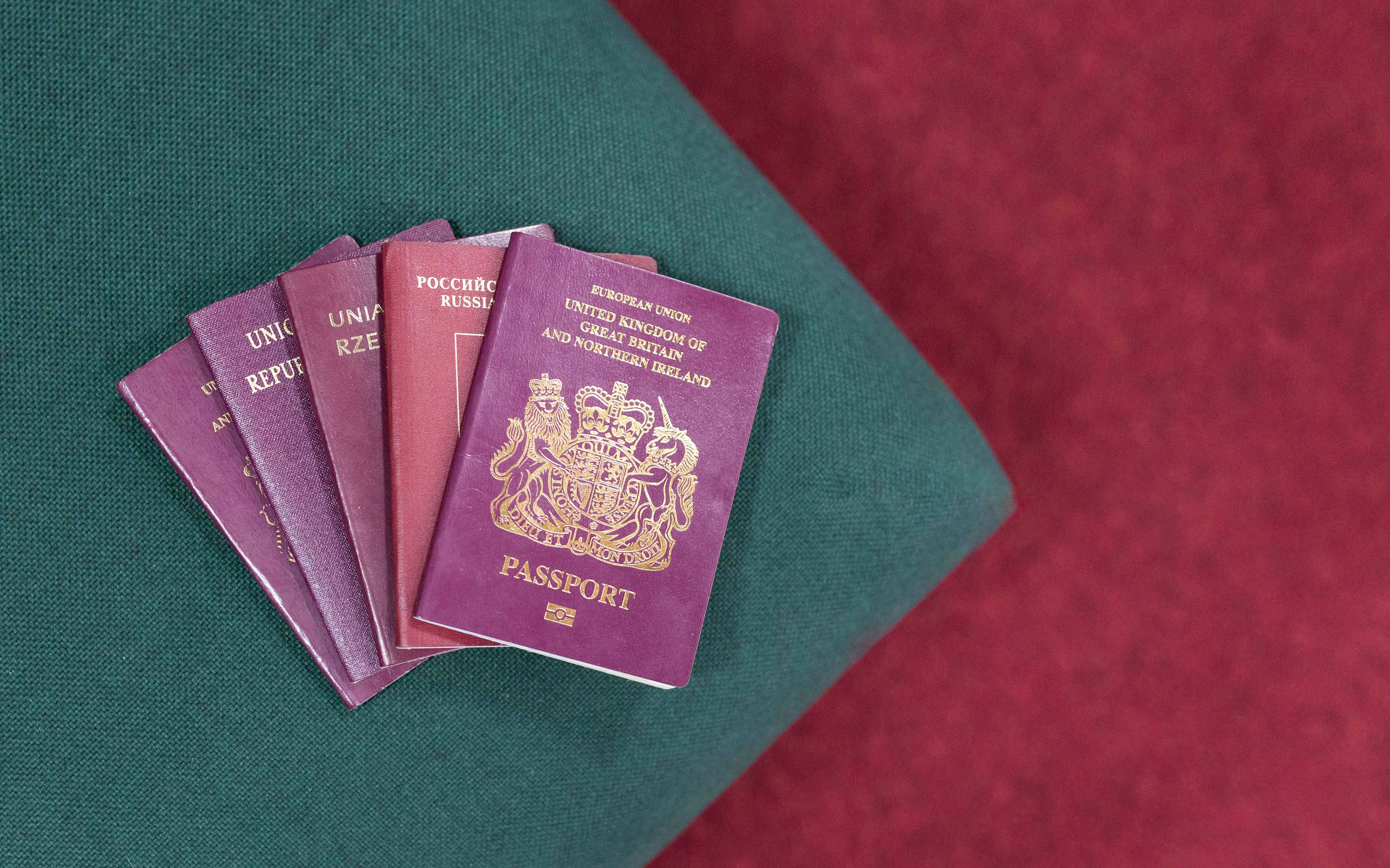 travelling companion's name passport example