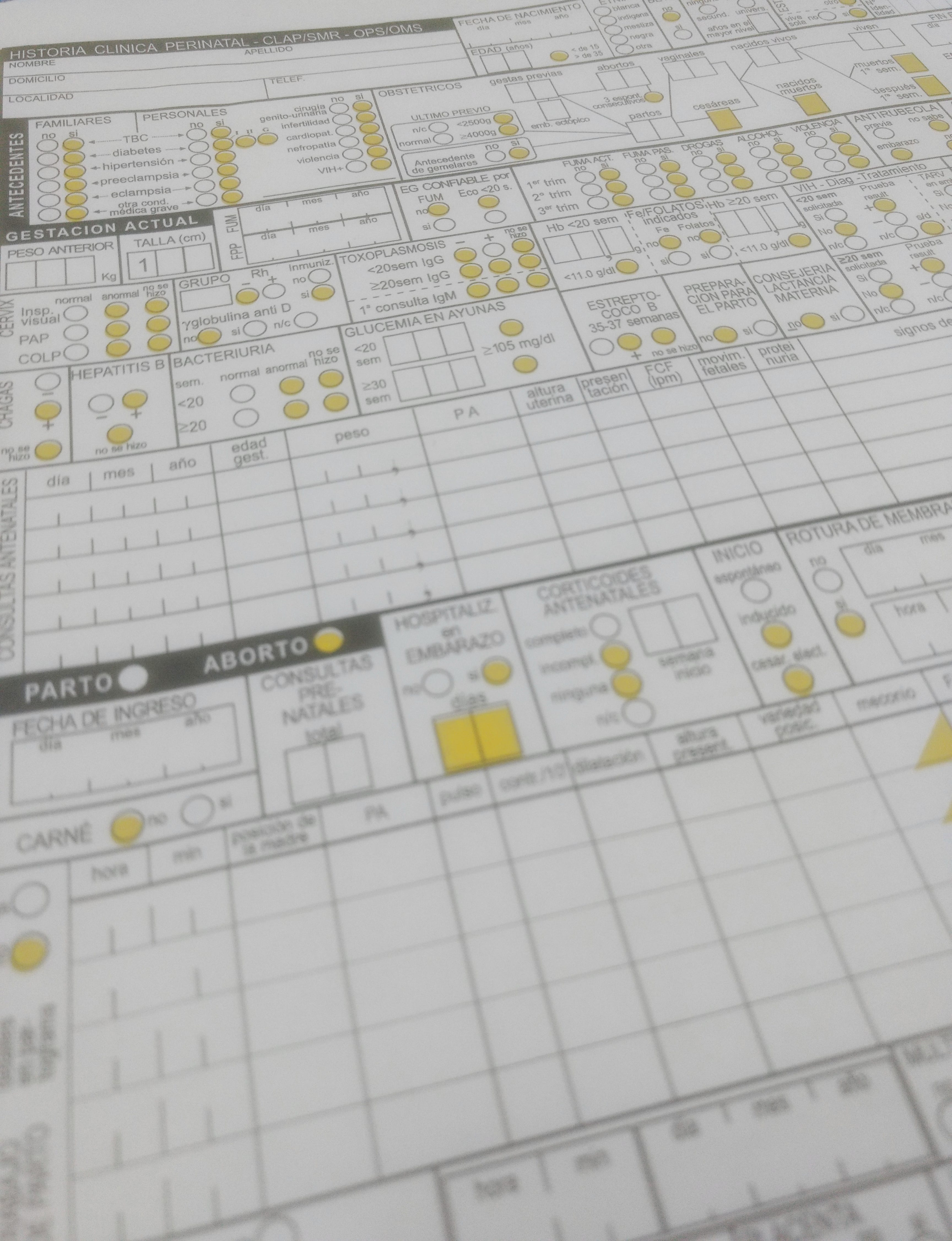 Nuevo Sistema Informático Perinatal Web Paces La Pampa