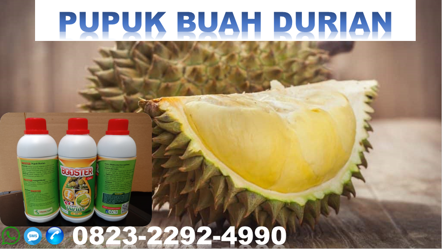 56 Pupuk Hantu Untuk Durian Terbaru