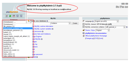 MEMBUAT DATABASE PADA PHPMYADMIN. PHPMyadmin | by NURLIA - | Medium