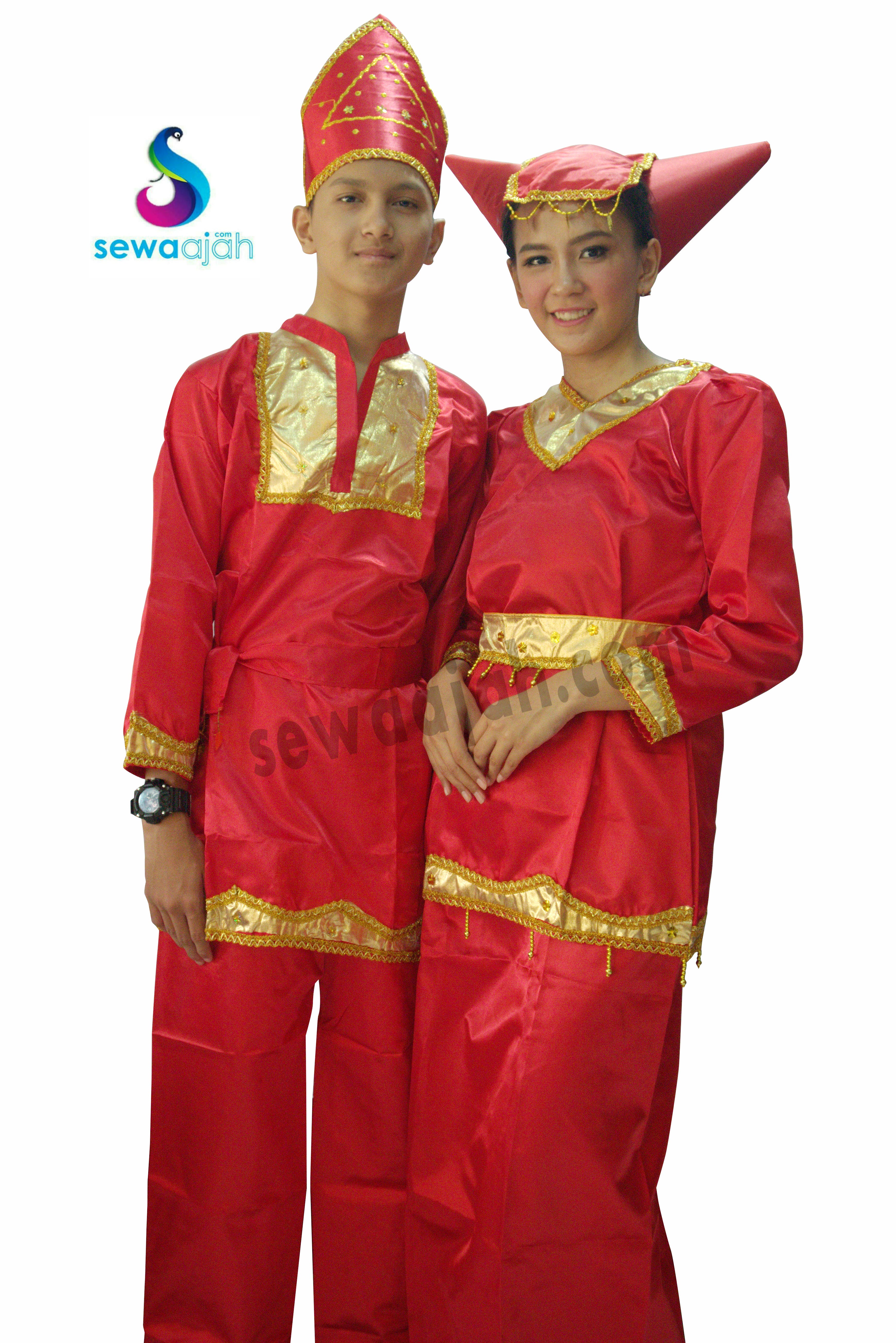  Apa  Pakaian Adat Sumatera Barat Baju  Adat Tradisional