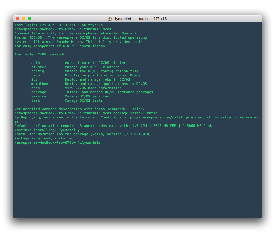 The Wizard Of Oz Guide To User Testing The Command Line Interface By Lily Samimi Ux Planet