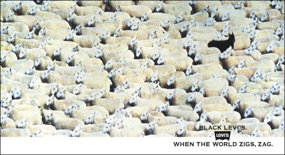 levis black sheep