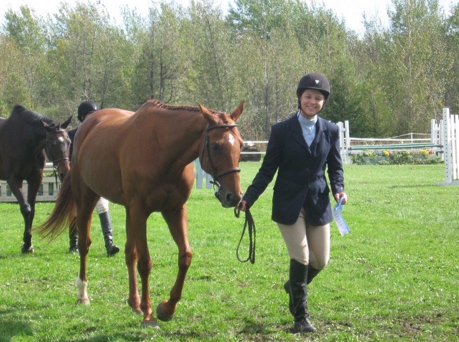 Why Grooming and Maintaining a Horse Holds Importance by Ellen Olsson