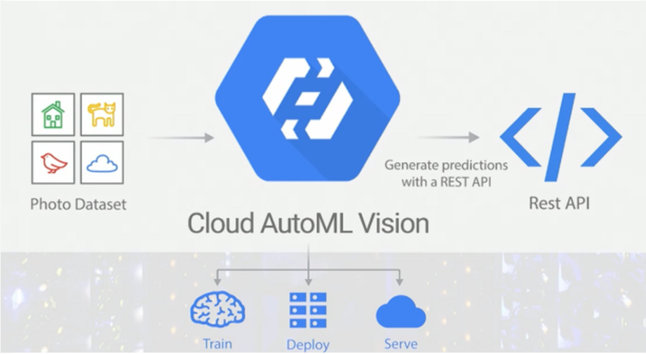 Classify Dogs And Cats With Google Automl By Simone Rigoni Towards Data Science