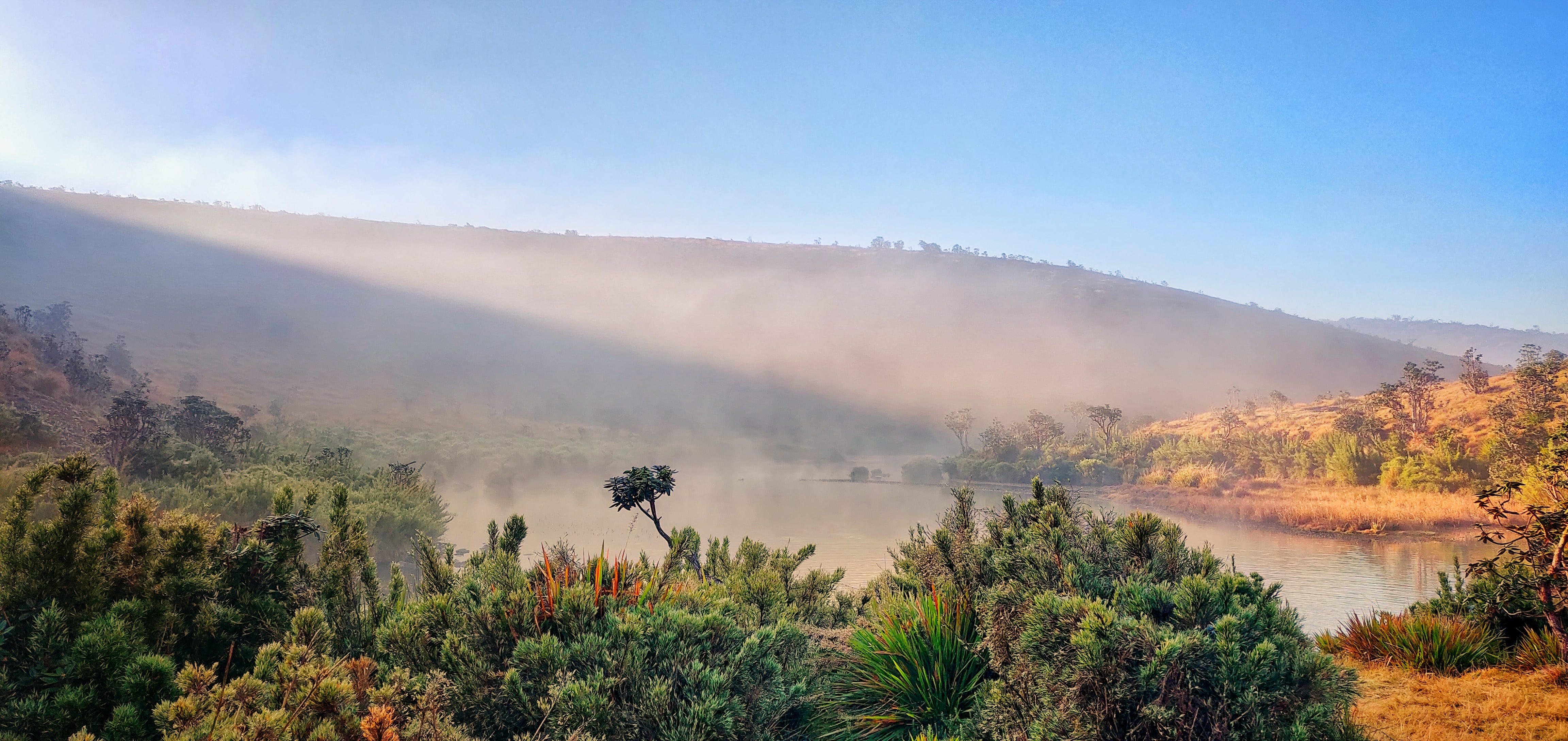 Morning sunlight on Horton Plains National Park