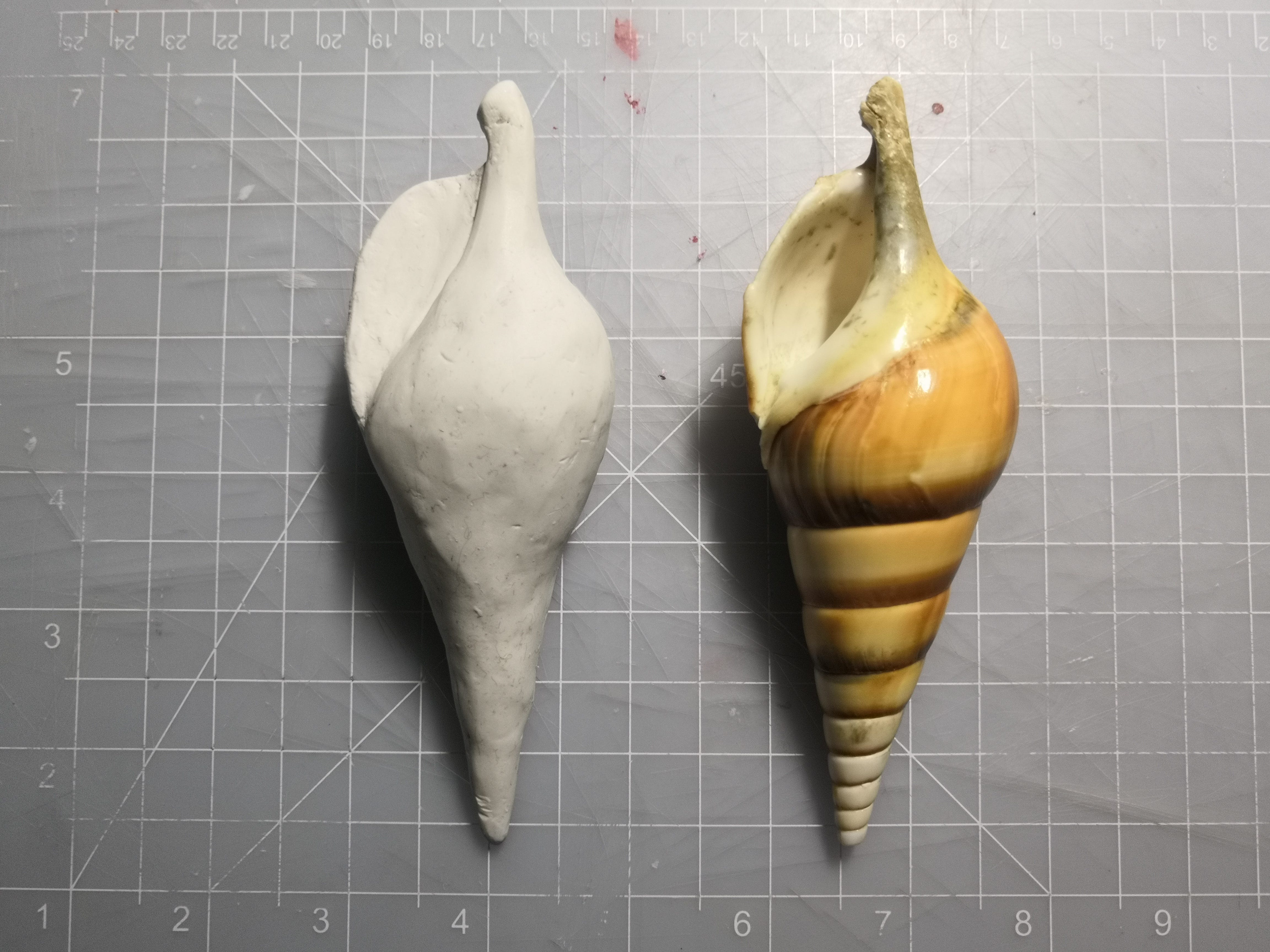 Seashell, Mouse, and Hybrid. 3/19/2020 | by Catherine Wang | Medium