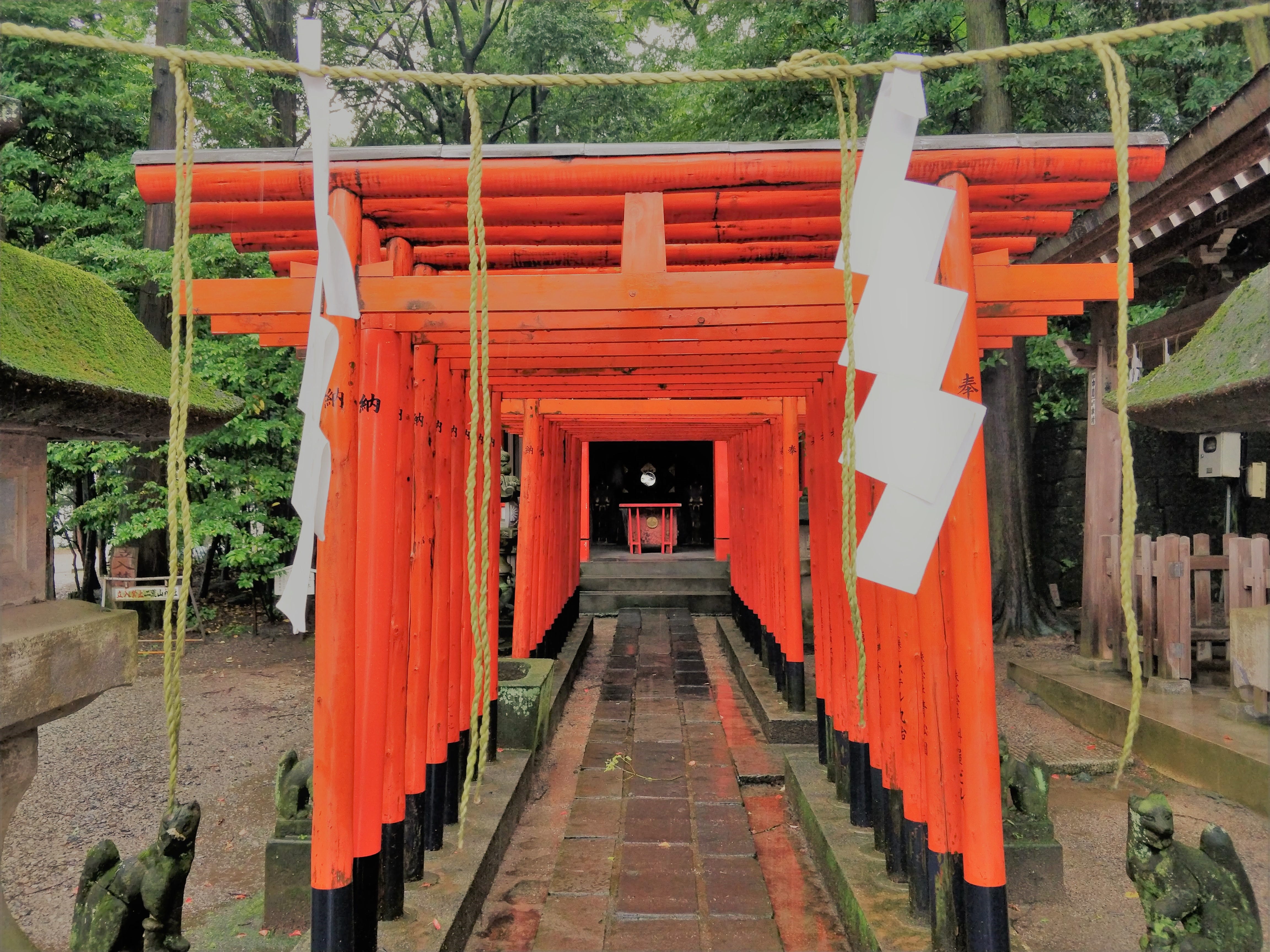 Why You Need To Go On A One Day Trip When It Rains By Mathias Barra Age Of Awareness Medium Why You Need To Go On A One Day Trip When It Rains By Mathias Barra Age Of Awareness Medium
