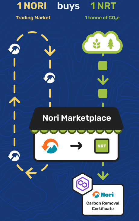  Ask Me Anything Sessions Launched In Nori s Discord Community By 