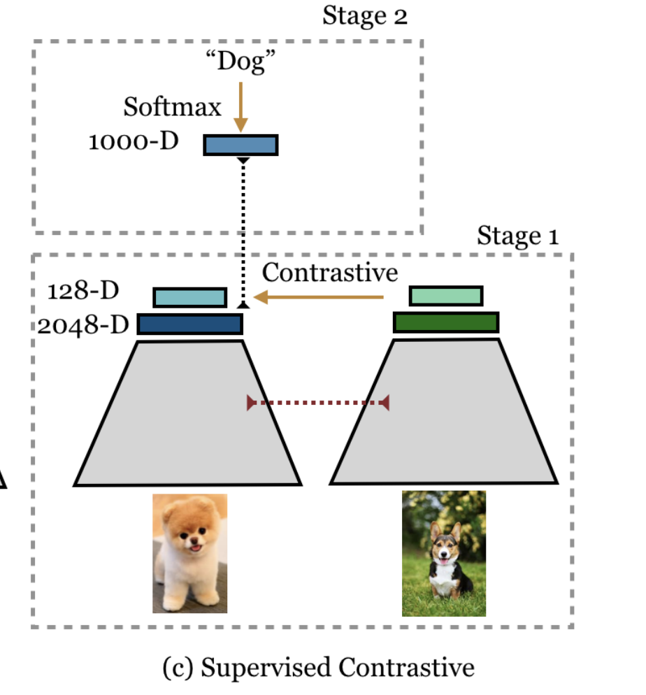 Self Supervised Contrastive Loss stage 2