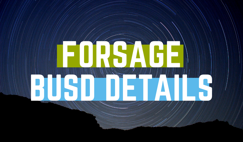 WHAT IS FORSAGE BUSD? | OFFICIAL PLAN DETAILS | By TOPTEAM FORSAGE | Medium