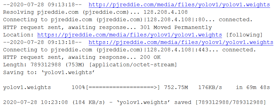 YOLO V1 - Installing YOLO weights