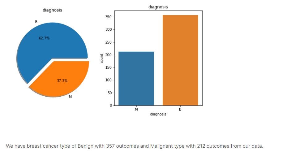 Beginner project: Breast Cancer Diagnosis using Logistic Regression in ...