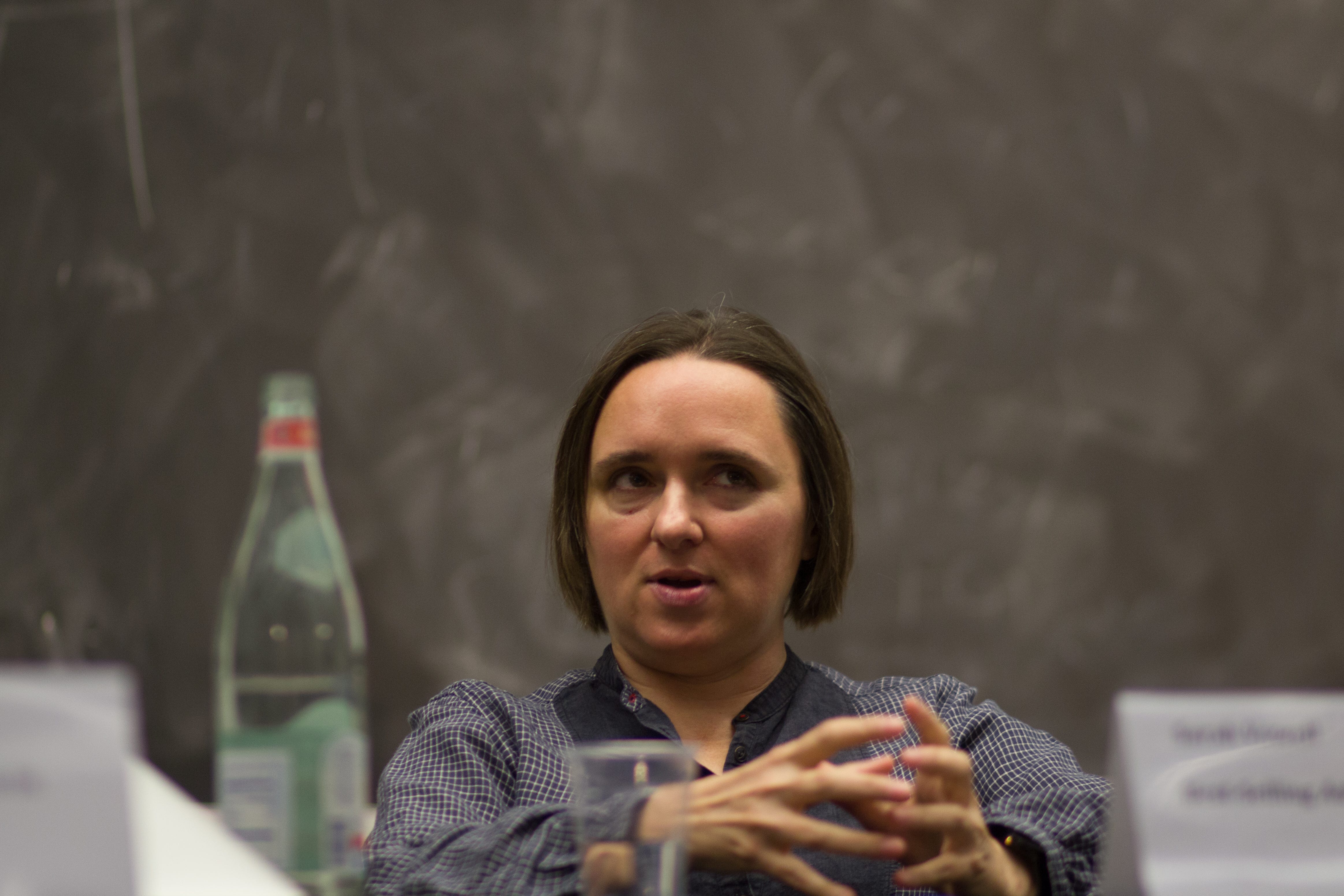 Vowel an essay by sarah vowell picture