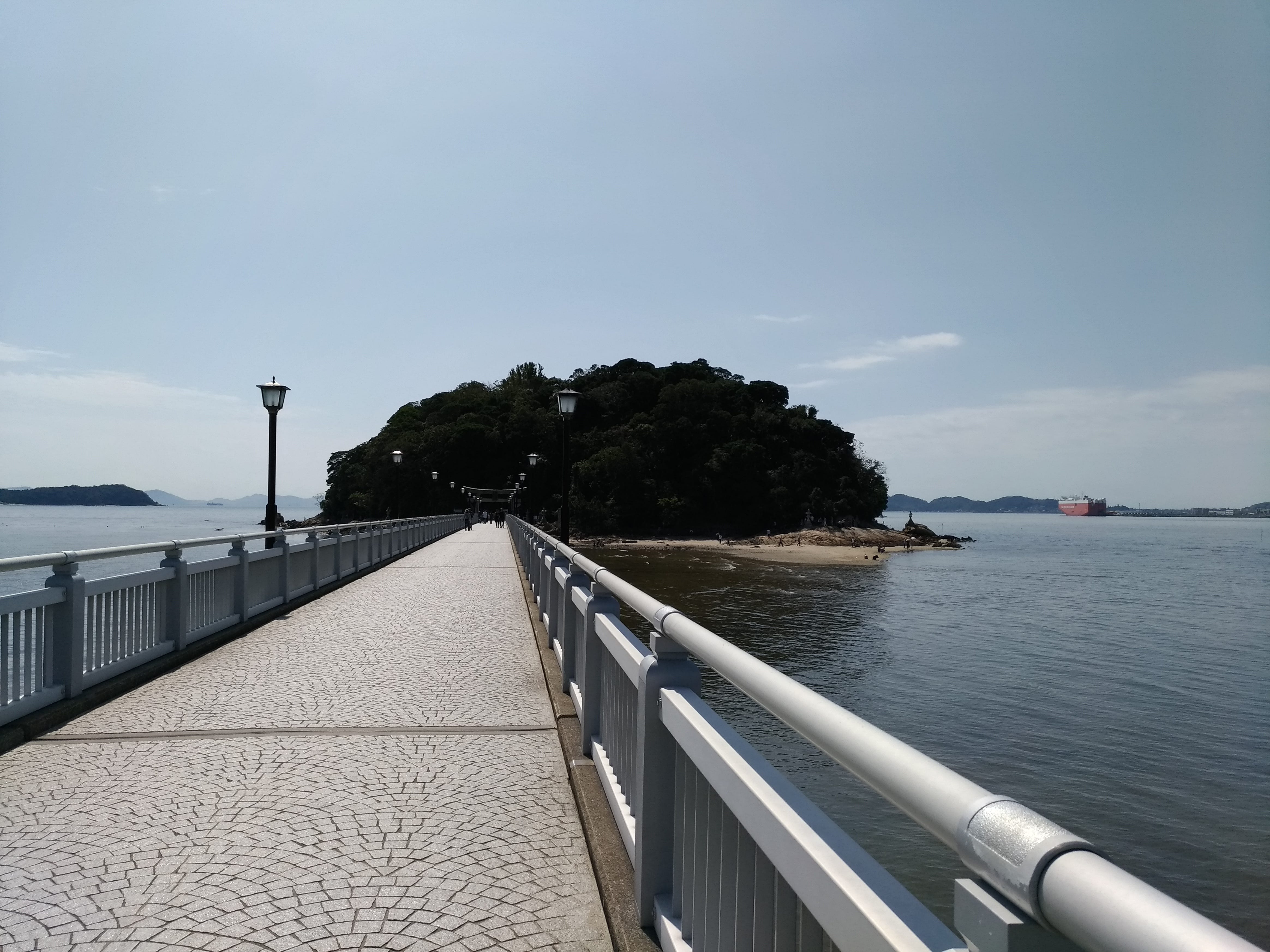 八 百 富 神社 春日神社 延岡 宮崎 どんど焼きと鹿の素敵な御朱印帳です Stg Origin Aegpresents Com