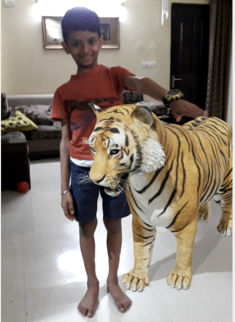 My son Lakshya with his pet Simbu (Google 3D animals)