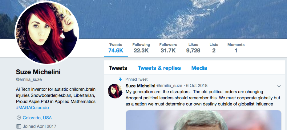 Fake Twitter Id