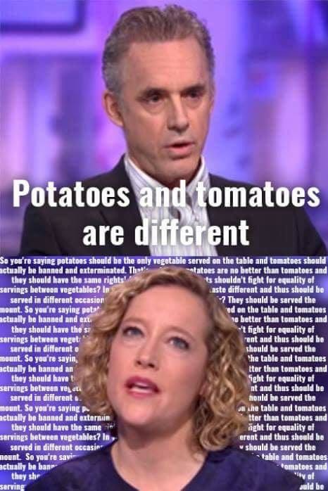 25 Memes That Sum Up Jordan Peterson vs. Cathy Newman | by Stian Pedersen