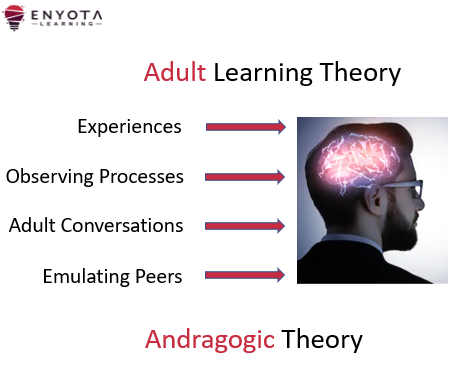 What is Adult Learning Theory?. The adult learning theory is a concept ...