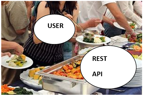ALTERNATIVES FOR REST API. Use of REST APIs to build public APIs… | by ...
