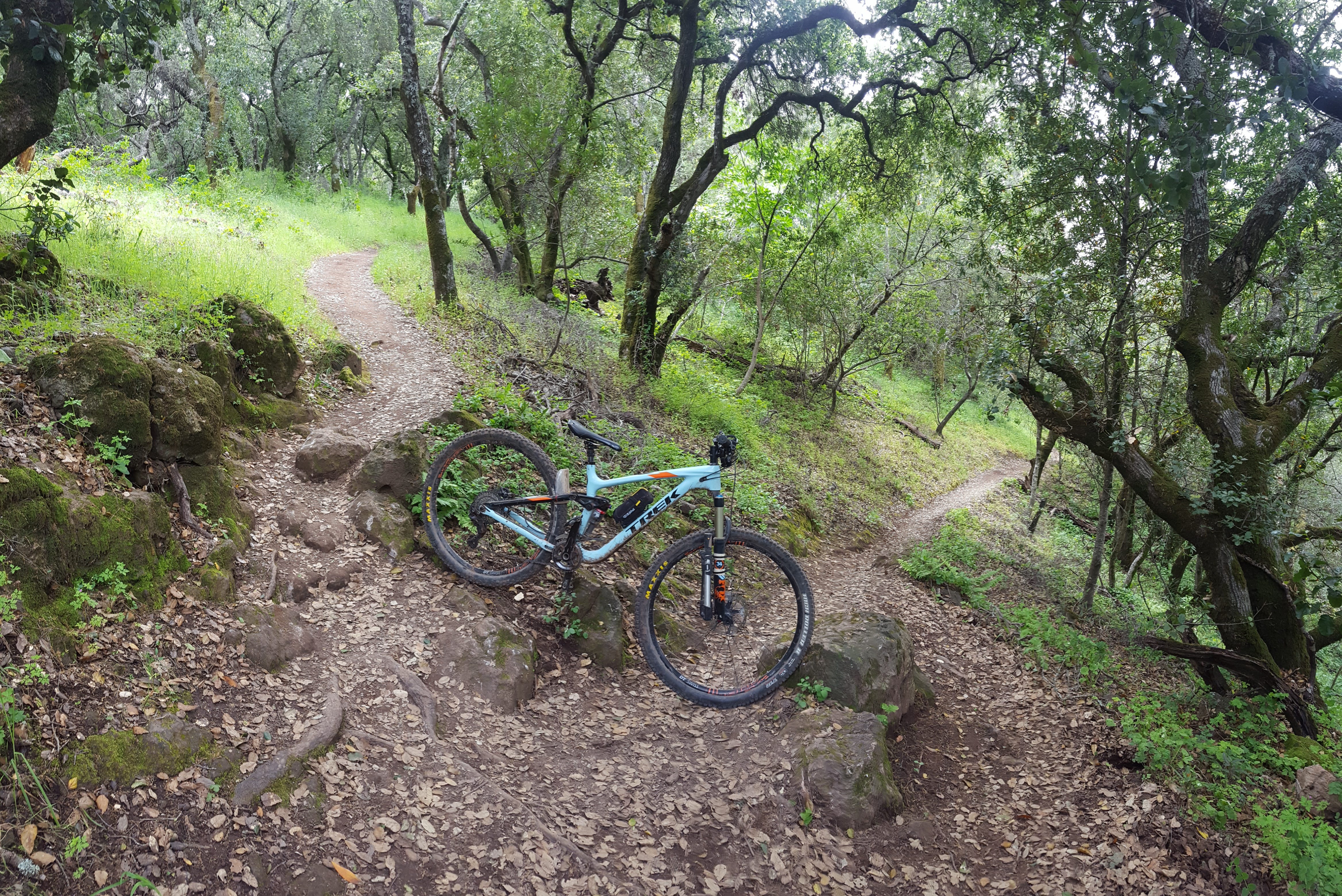 skyline bike trail