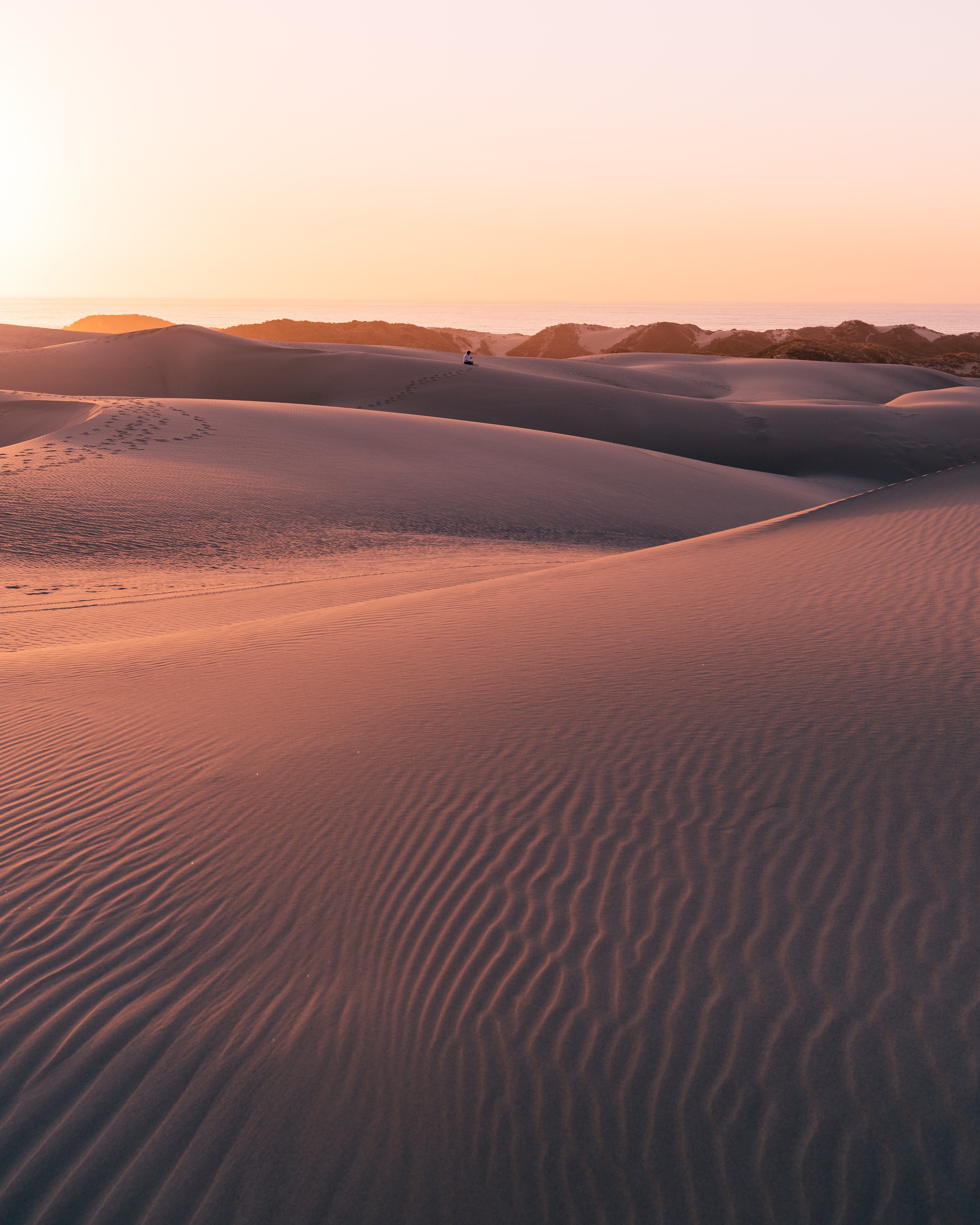 An Unsplash  photowalk at Pismo Beach Dunes hosted by 
