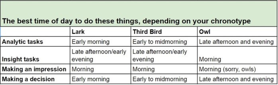 Online Meeting Etiquette — TeamCalendar.AI