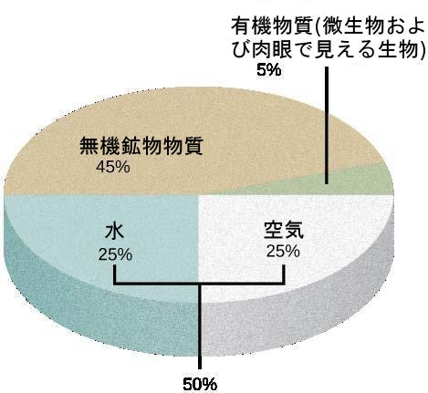 生物学 第2版 第31章 土壌と植物の栄養摂取 Japanese Translation Of Biology 2e By Better Late Than Never Medium