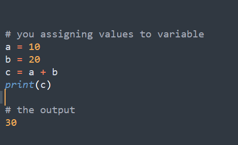 Python For Beginner. Mastering the basic of python | by Abizarah | Medium