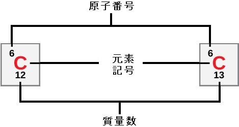生物学 第2版 第2章 生命の化学的な基盤 Japanese Translation Of Biology 2e By Better Late Than Never Medium