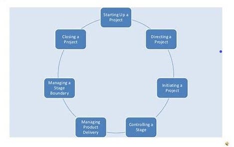 PROJECT LIFE CYCLE VS PROJECT MANAGEMENT LIFECYCLE; PROJECT METHODOLOGY ...