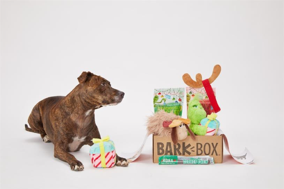 dog gift box subscription