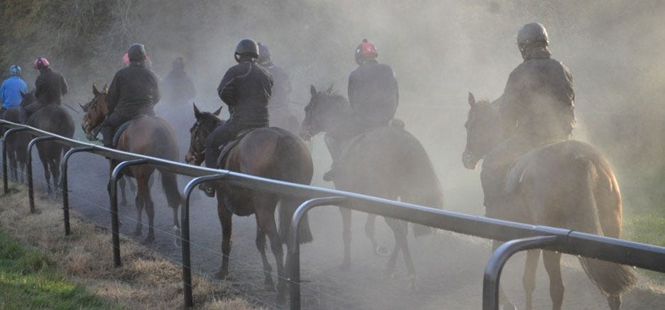Race Horses Hunting Riding And Owning By Bruce Robbins Medium