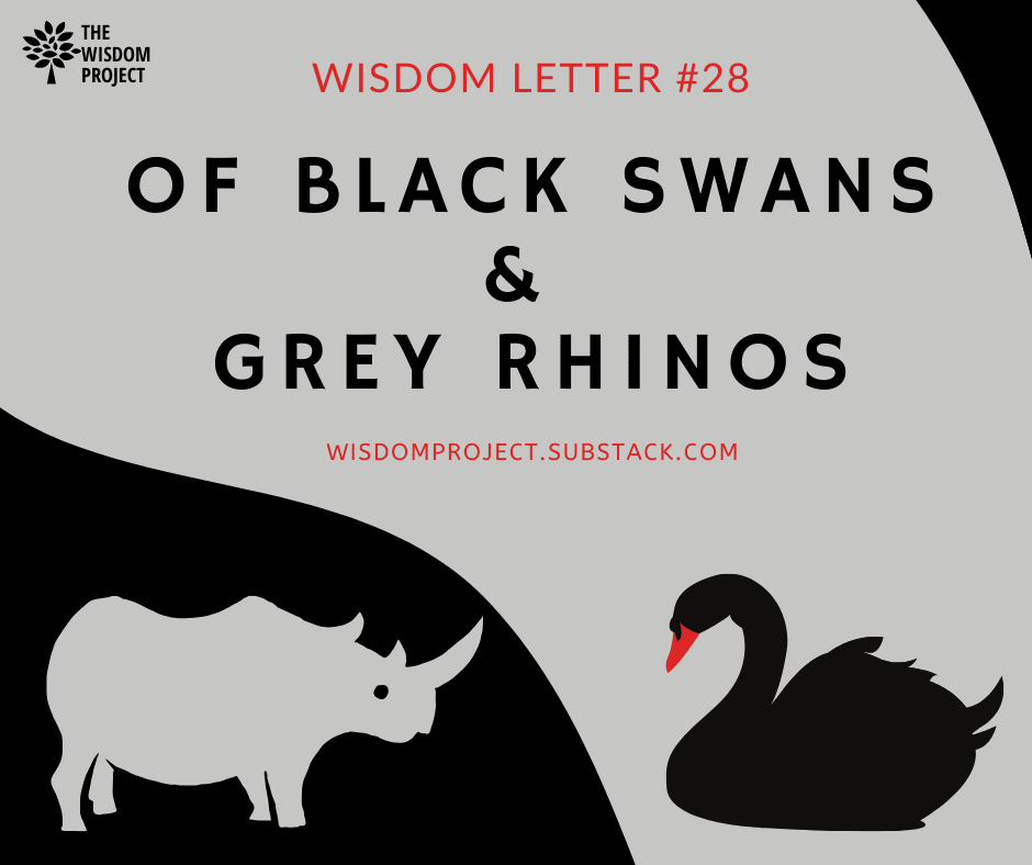 Of Black Swans and Grey Rhinos. Wisdom Letter #28 | The One About Risk | by  Ayush Chaturvedi | The Wisdom Project | Medium