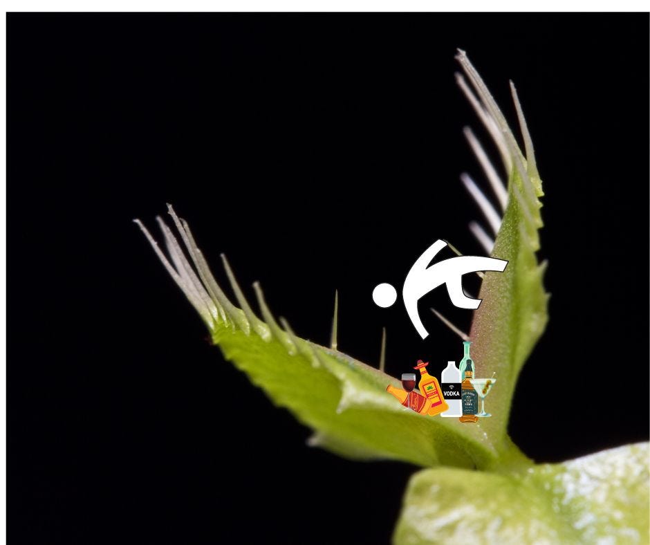 The Gorecenter Effect: The Study You Need To Read Before It'S Too Late - z732cd5