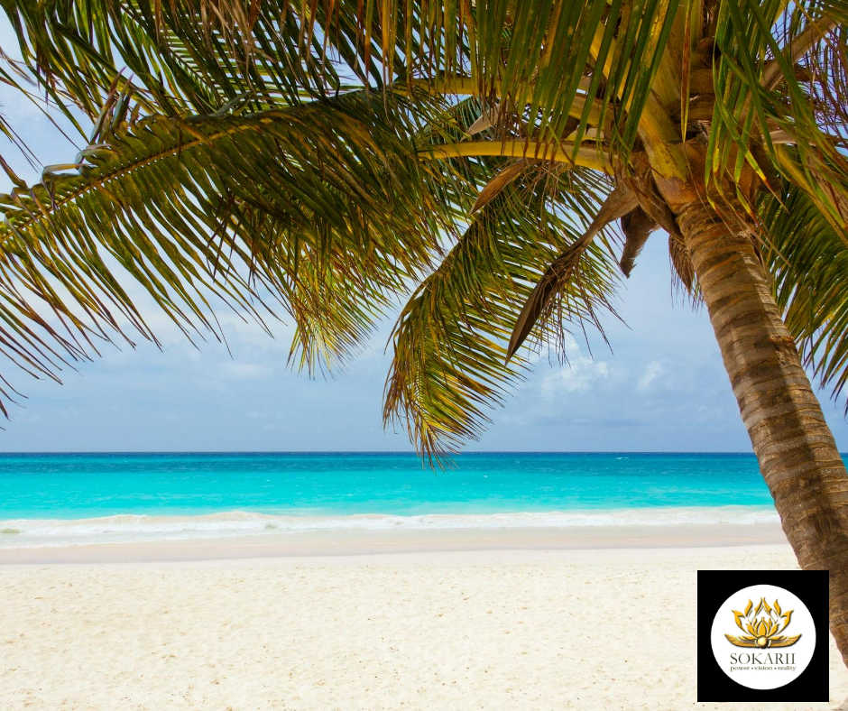 Celebrate Christmas Season at Barbados by Sokarii Medium