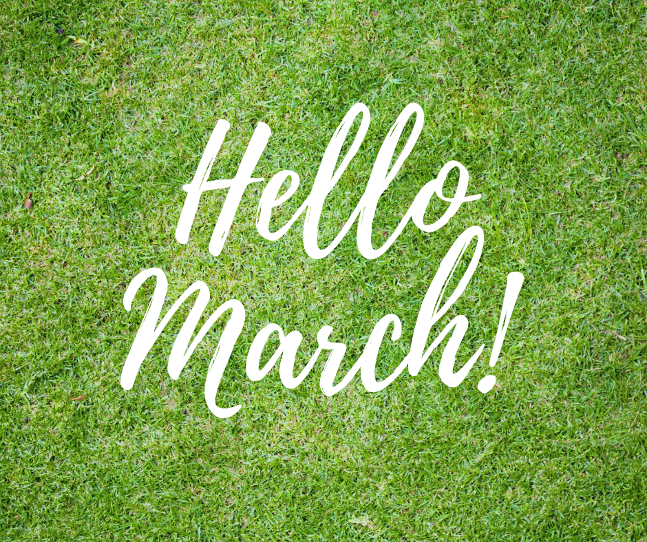March Home Maintenance List Spring Is Coming Zaarly Medium