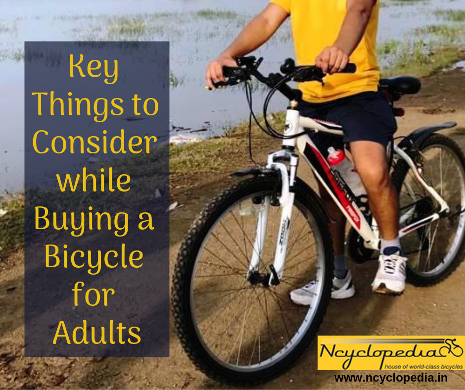 bicycle online for adults