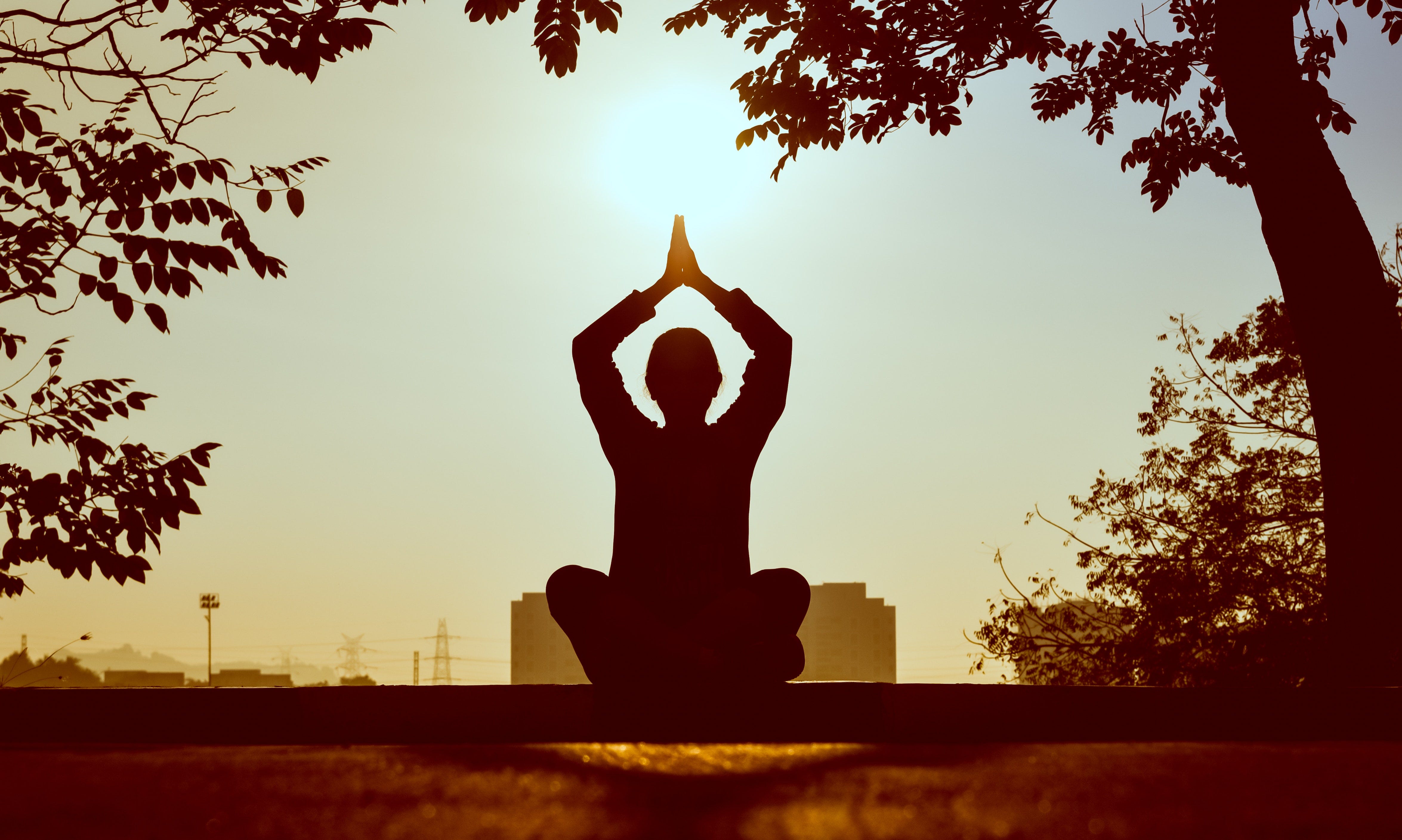 Why Meditation is More Important Today than Ever Before